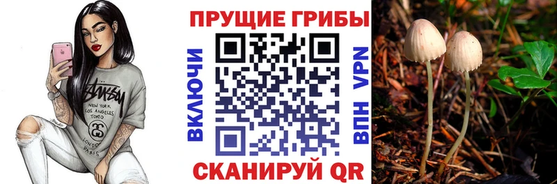 Галлюциногенные грибы мицелий  Кемерово 