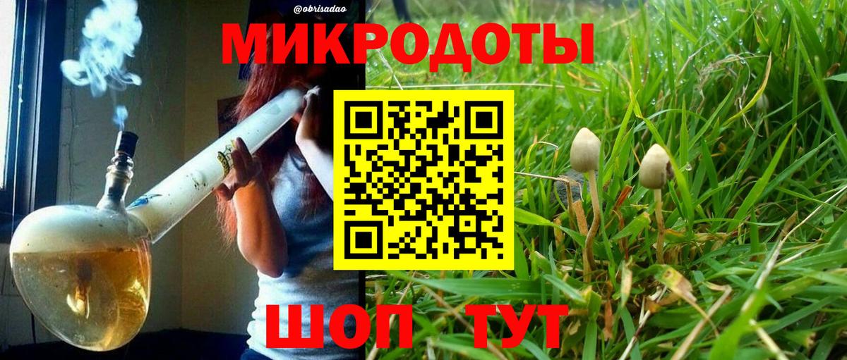 Бошки Шишки Кемерово