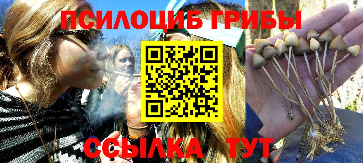 Галлюциногенные грибы MAGIC MUSHROOMS Кемерово